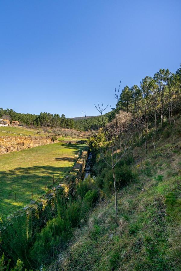 Aradas, Pampilhosa Da Serra, Casa Da Oliveira, Wifi, Ar Condicionado, Churrasqueira, Parqueamento, By Ig Unhais-o-Velho 外观 照片